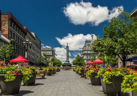 jacques cartier square montreal